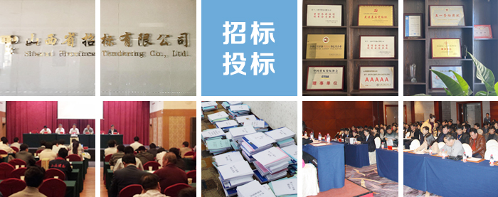 招標(biāo)投標(biāo)